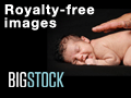 BigStockPhoto - подробная информация