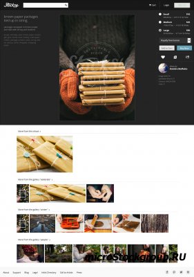 Фотобанк Stocksy начал свою работу